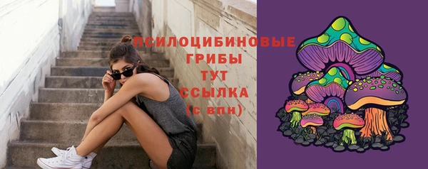 стафф Баксан