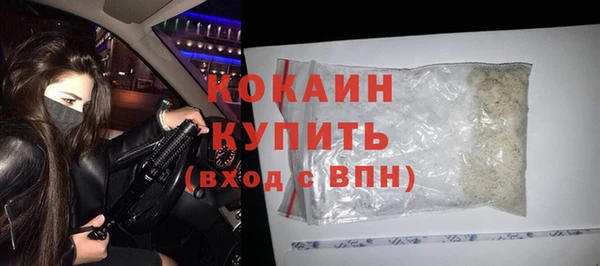 шишки Осинники
