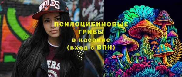 хмурый Арсеньев