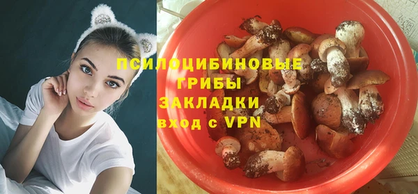 стафф Баксан